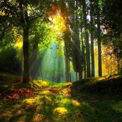 RJS-7早強高效減水劑